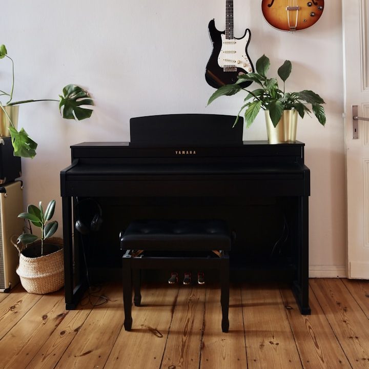 Schwarzes Klavier mit Sitzbank, umgeben von Pflanzen und Gitarren an der Wand.