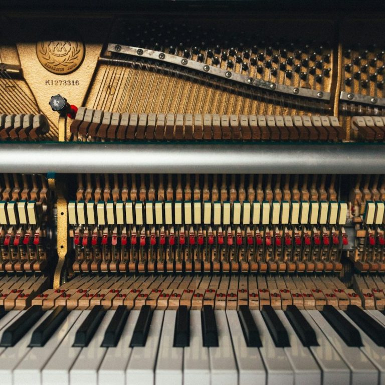 Schwarzes Klavier mit Sitzbank, umgeben von Pflanzen und Gitarren an der Wand.